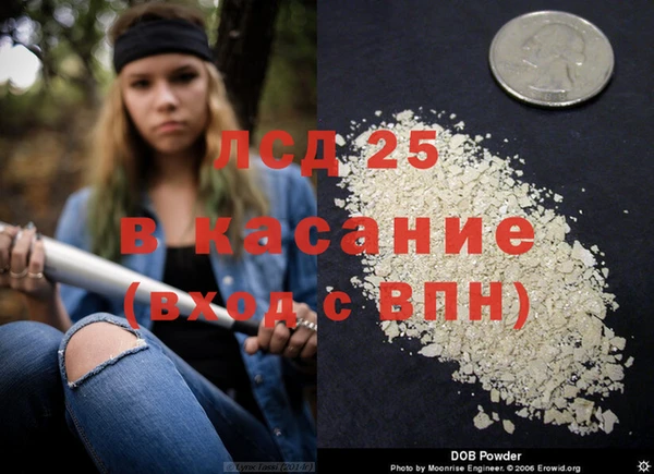 прущие грибы Алексин