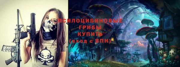 прущие грибы Алексин