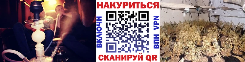 Конопля сатива  Неман 