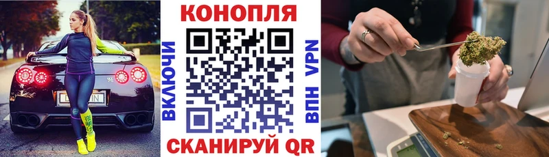 Конопля сатива Неман